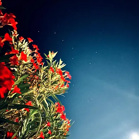 Casa A-danieli דירה מורתה מריה