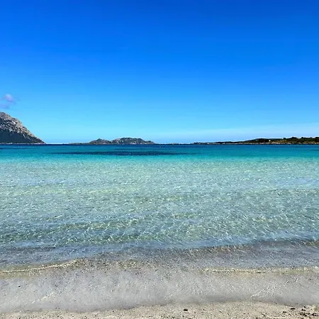 Casa A-danieli 무르타마리아