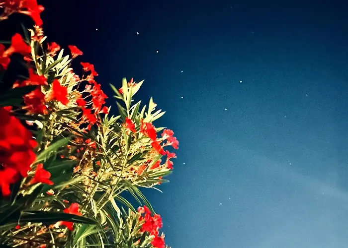 Casa A-danieli Apartament Murta Maria