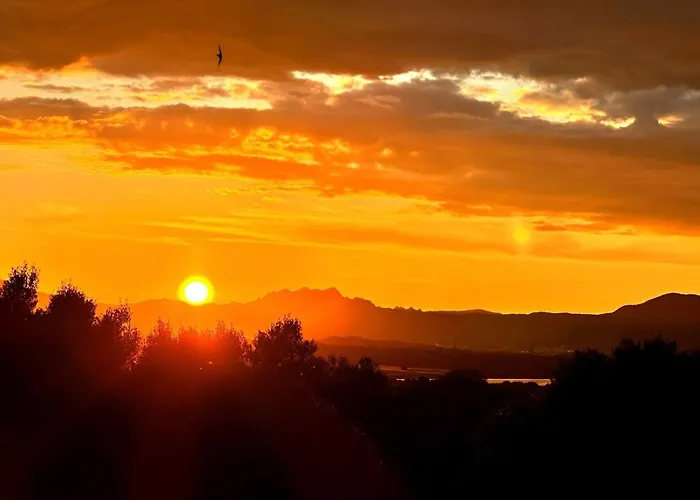 Casa A-danieli * Murta Maria